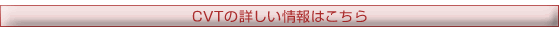 CVT̏ڂ͂
