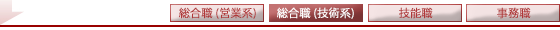 総合職（技術）